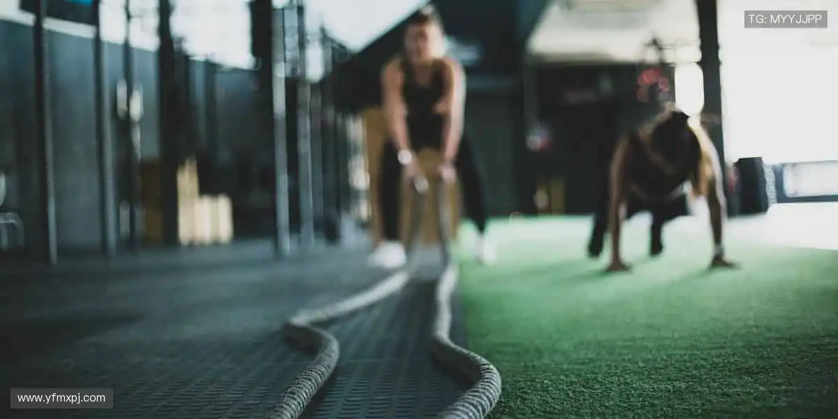 🏀全明星阵容，震撼来袭！篮球联赛官网，每一场都是视觉盛宴！🎯💥