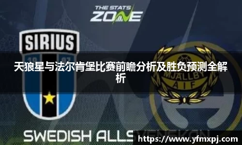 天狼星与法尔肯堡比赛前瞻分析及胜负预测全解析